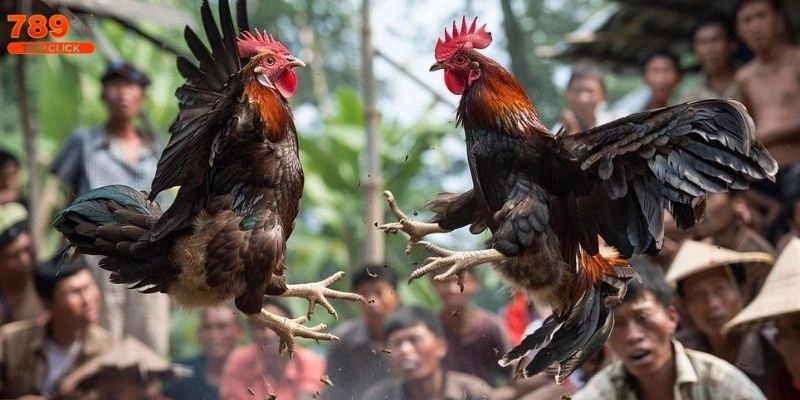 Gà Song Sinh Thần Kê