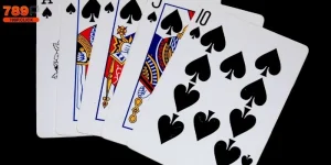 tiến lên miền nam