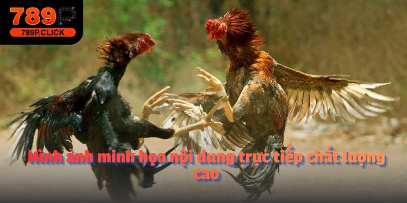 Hình ảnh minh họa nội dung trực tiếp chất lượng cao