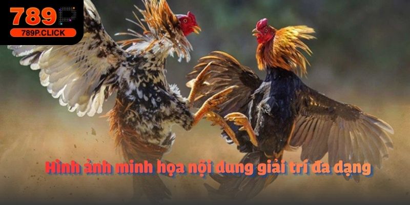 Hình ảnh minh họa nội dung giải trí đa dạng