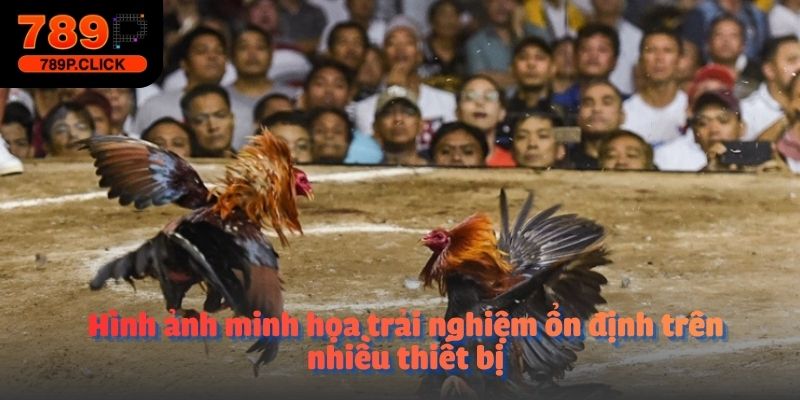 Hình ảnh minh họa trải nghiệm ổn định trên nhiều thiết bị