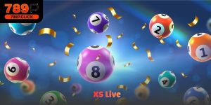 XS Live